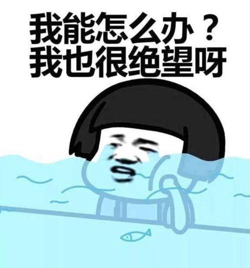 有沒有好采購(gòu)的清洗機(jī)